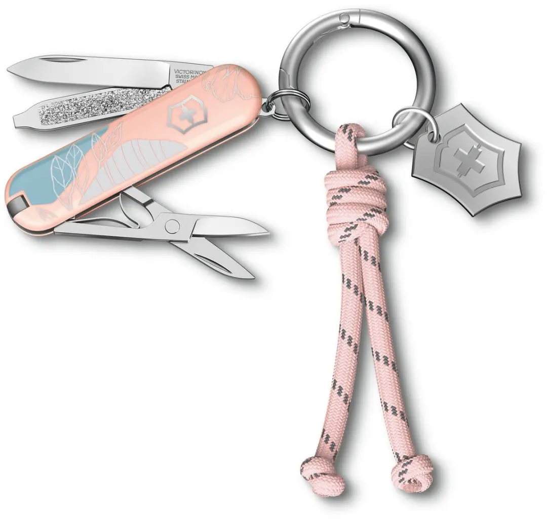 Victorinox Classic SD Paris Style 0.6223.E221 Zakmes