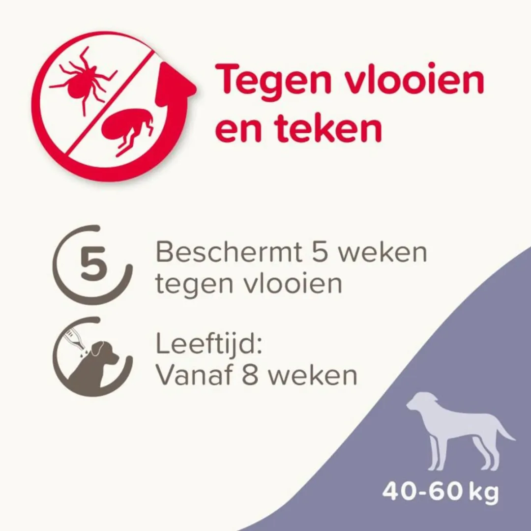 Beaphar Fiprotec Dog Pip XL - Anti Vlooien & Teken 40-60kg