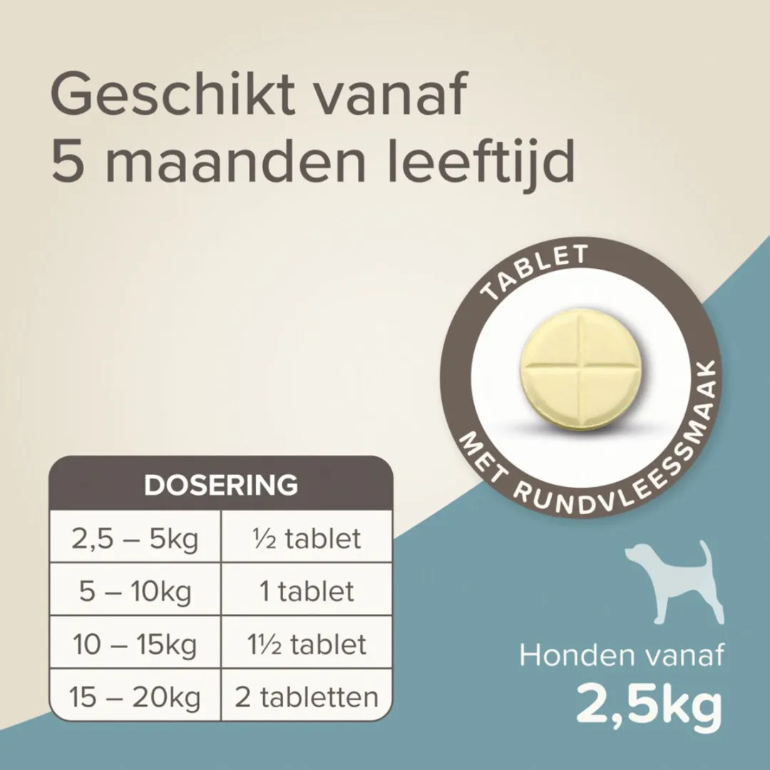 Beaphar Wormtablet All In One Hond 2,5-20 kg - 12 Stuks