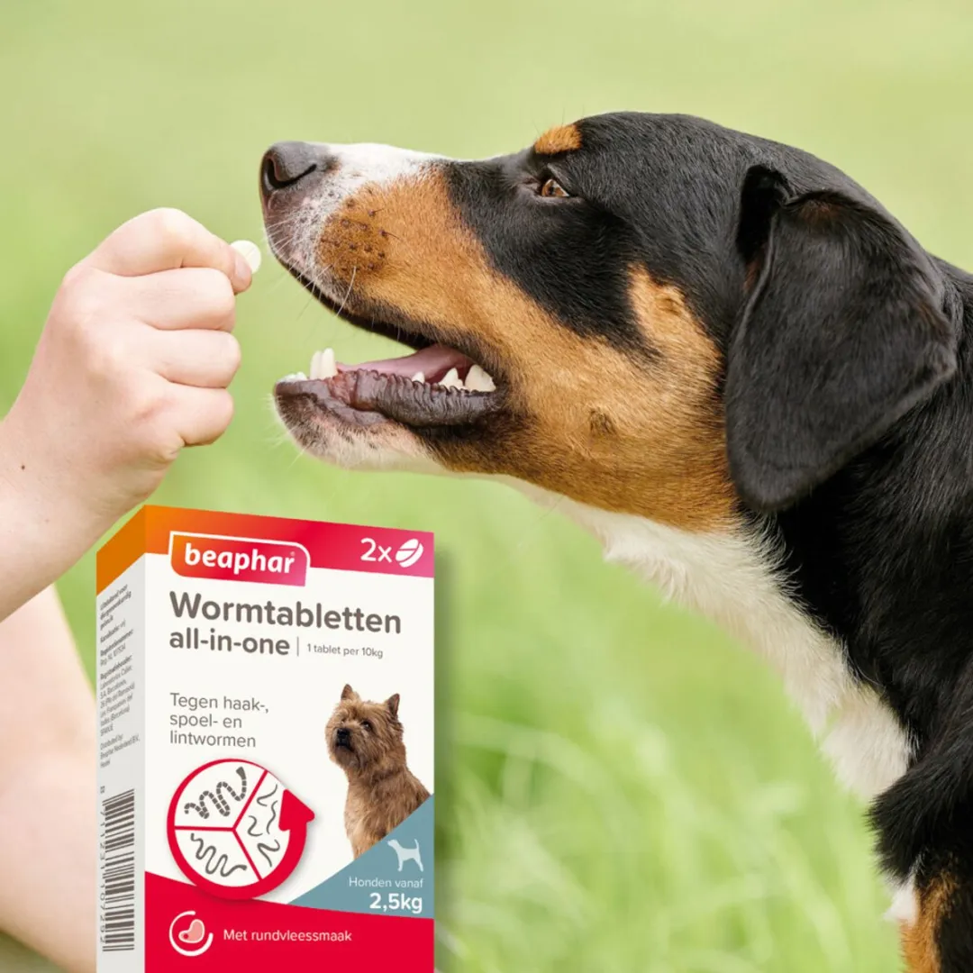 Beaphar Wormtablet All In One Hond 2,5-20 kg - 12 Stuks