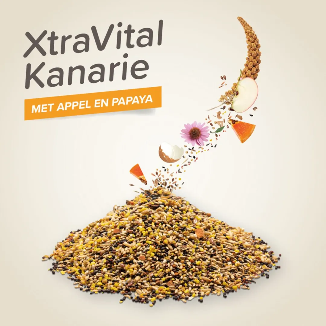 Beaphar XtraVital Kanarievoer 20 Stuks