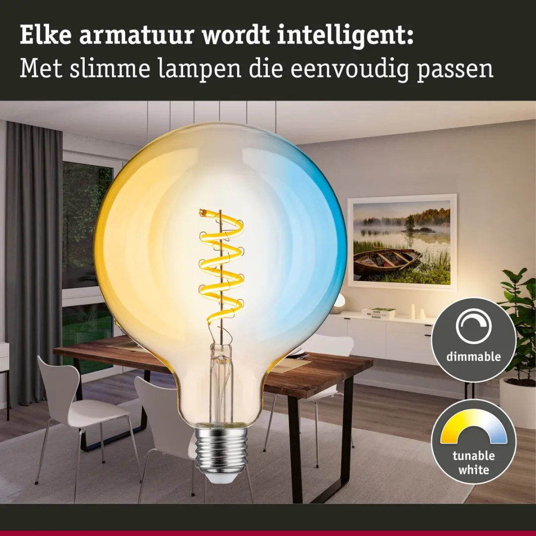 Paulmann Filament LED Globe G125 Zigbee 600lm 7.5W Tunable White - Goud - afbeelding 6 van 6
