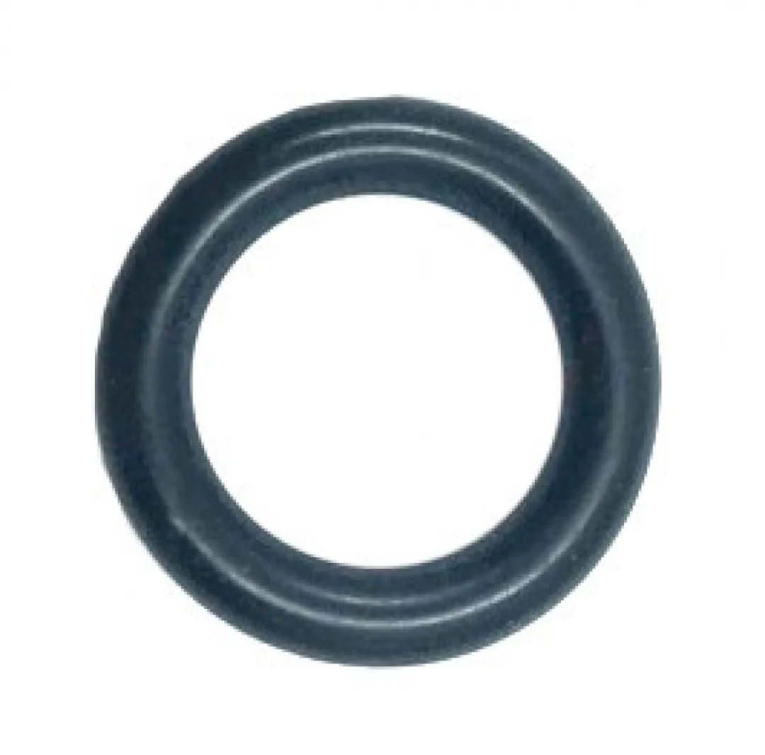 Saeco O-ring DM0041081