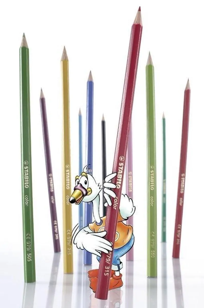 Casio Kartonnen Doos - 24 Stuks Assorti