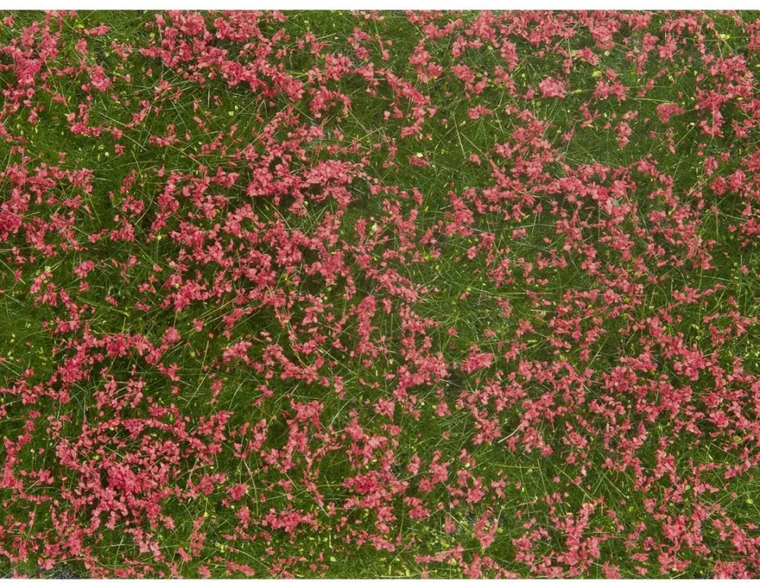 Noch 07257 Bodembedekker Landschap Rood
