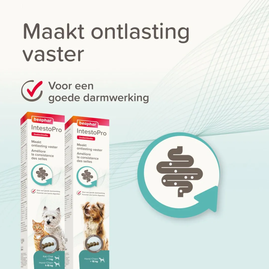 Beaphar IntestoPro Pasta Hond 2x20ml