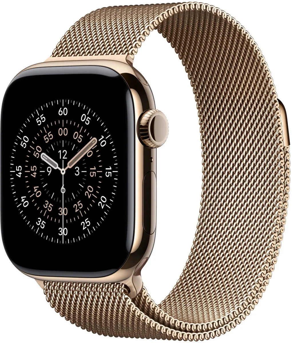 Apple MGJ04ZM/A Smartwatchband 42mm