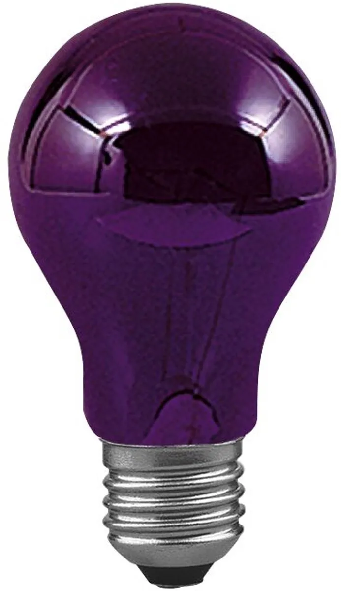 Paulmann Gloeilamp E27 Effectlicht 75W 100000K Blacklight