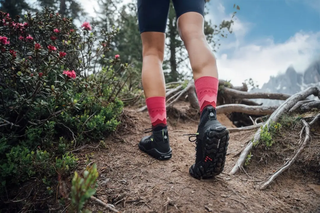 Falke TK2 Crest Damessokken - Rood - Maat 35-36 - afbeelding 4 van 6
