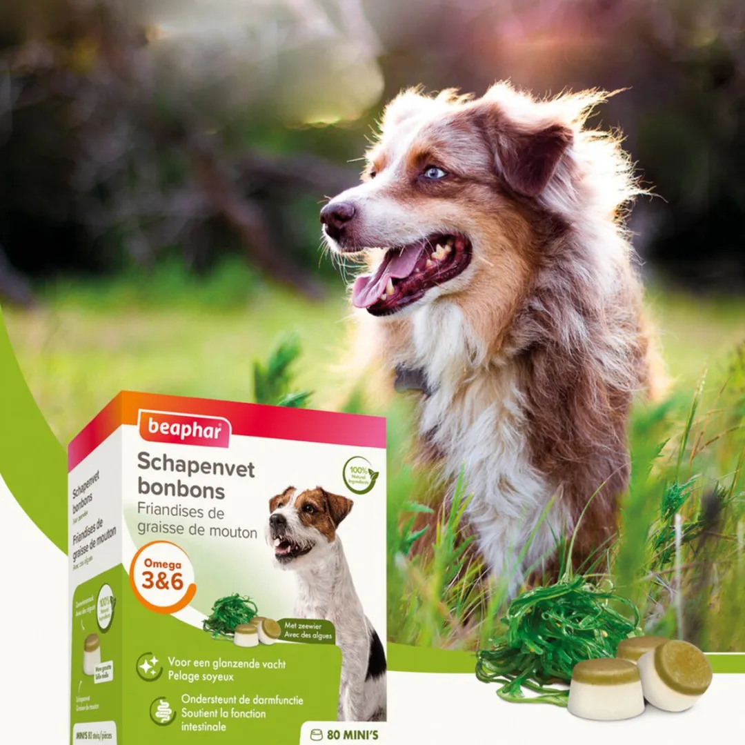Beaphar Schapenvetbonbons Zeewier - 6 Mini