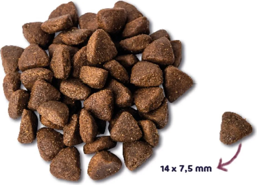 Renske Adult Kip Hondenvoer - 4x2kg Graanvrij