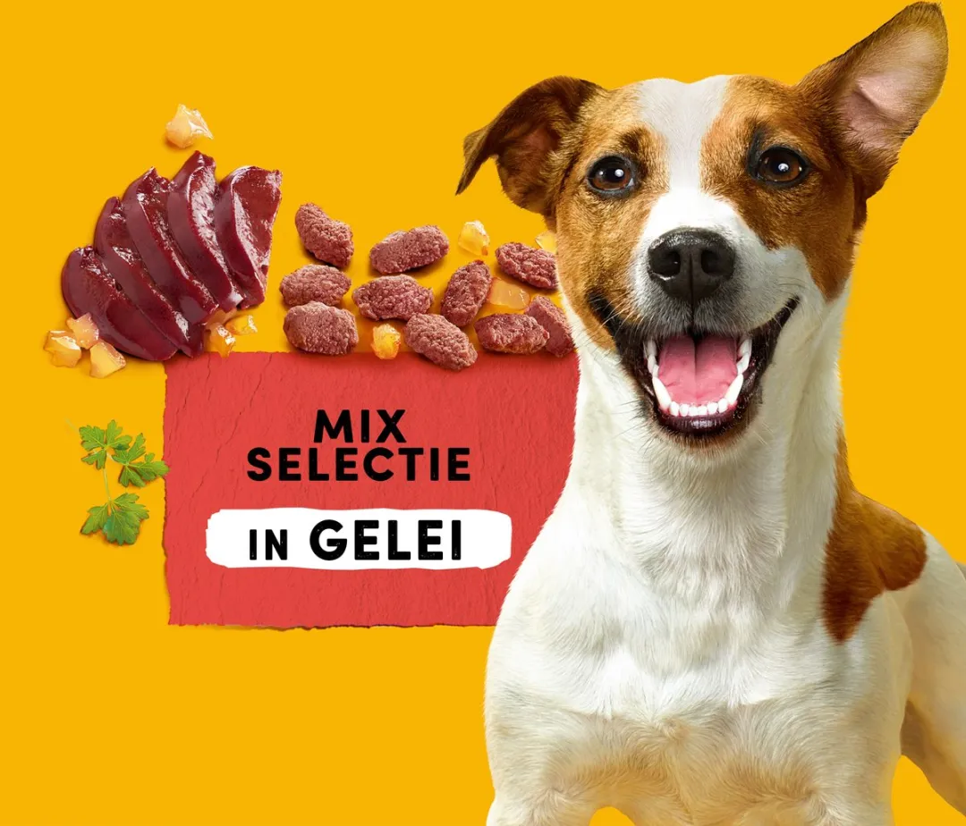 Pedigree Mix Selectie in Gelei Hondenvoer - 80x100g
