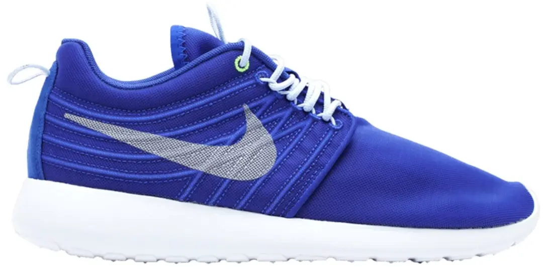 Nike Roshe Run Dyn FW QS