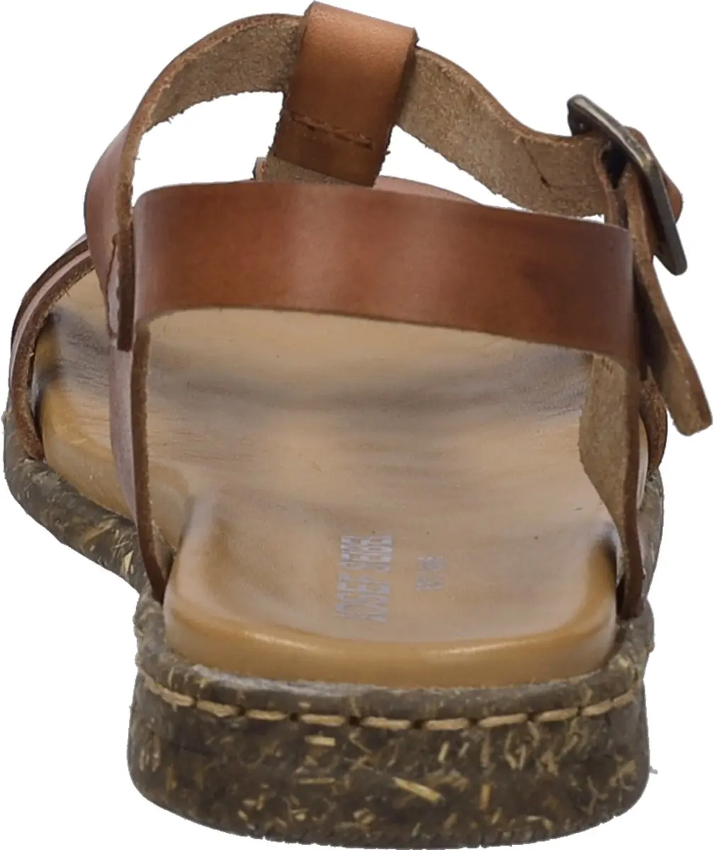Fabricia 01