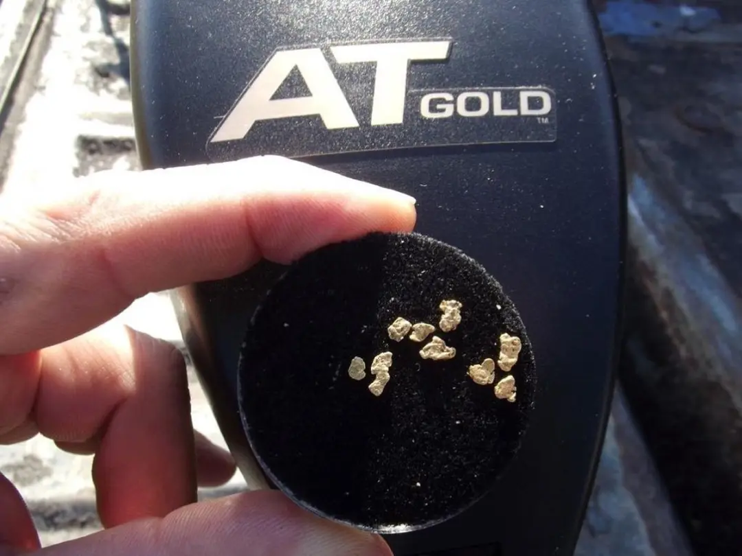 Garrett AT-Gold Metaaldetector - 20cm Zoekspoel - afbeelding 5 van 6