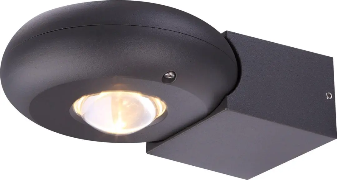 Buitenwandlamp Globo RINAH LED