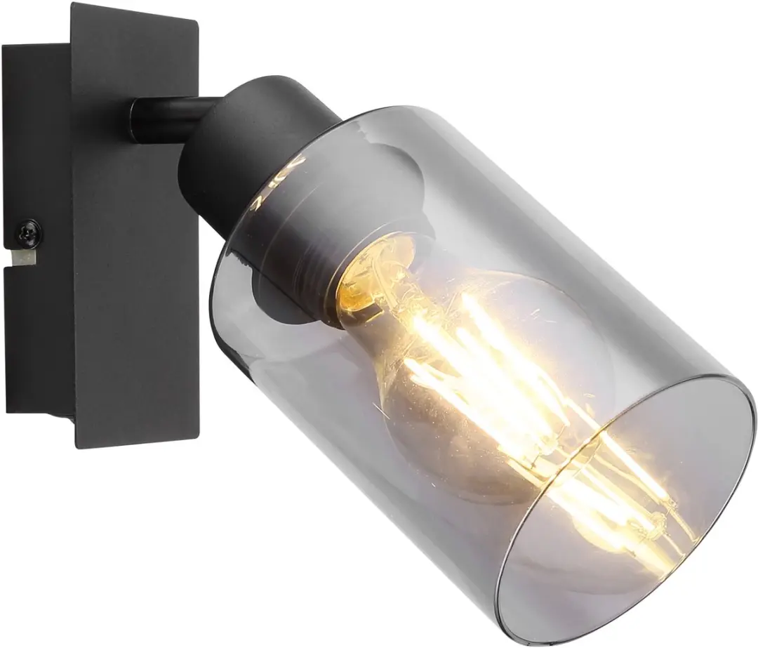 Globo Wandlamp Hadera zwart met smoke glas