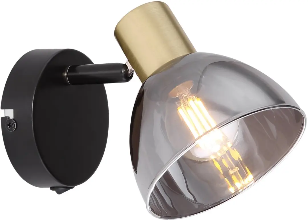 Globo Design wandlamp Jay zwart met smoke