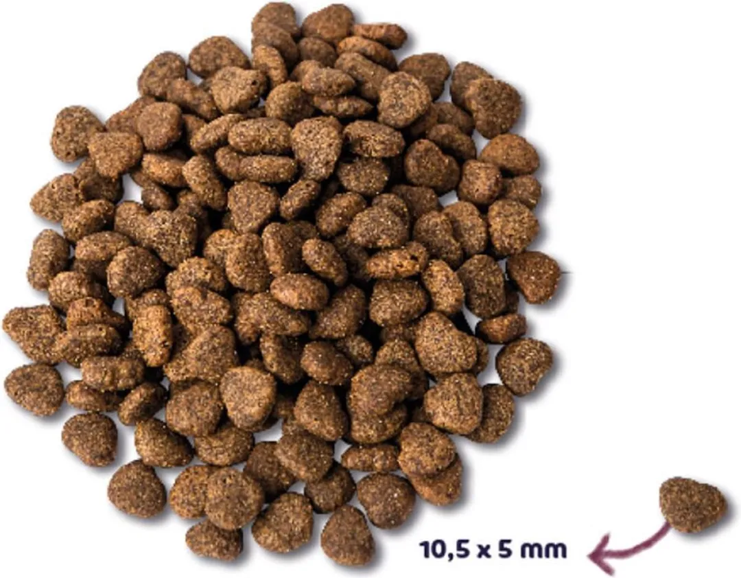Renske Kat Adult Verse Kip - 20 Stuks (5x4)
