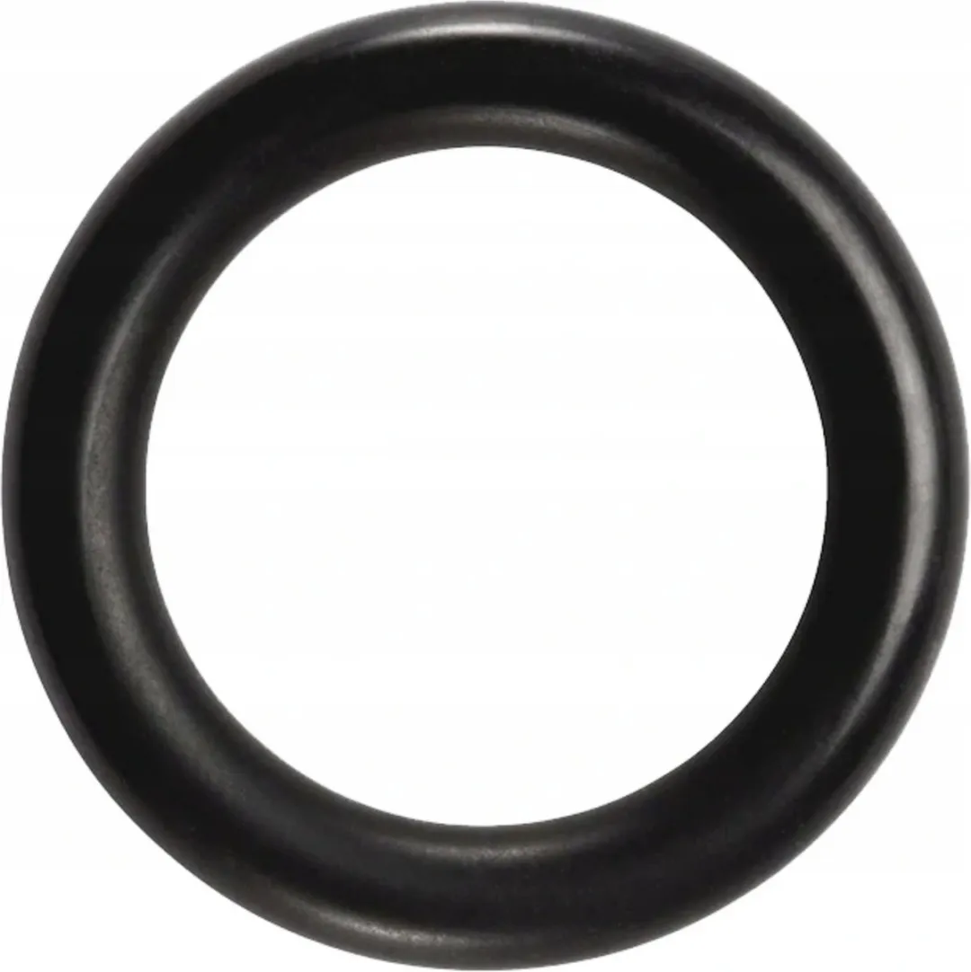 Saeco O-ring Doseerinrichting DM10 SUP0310R