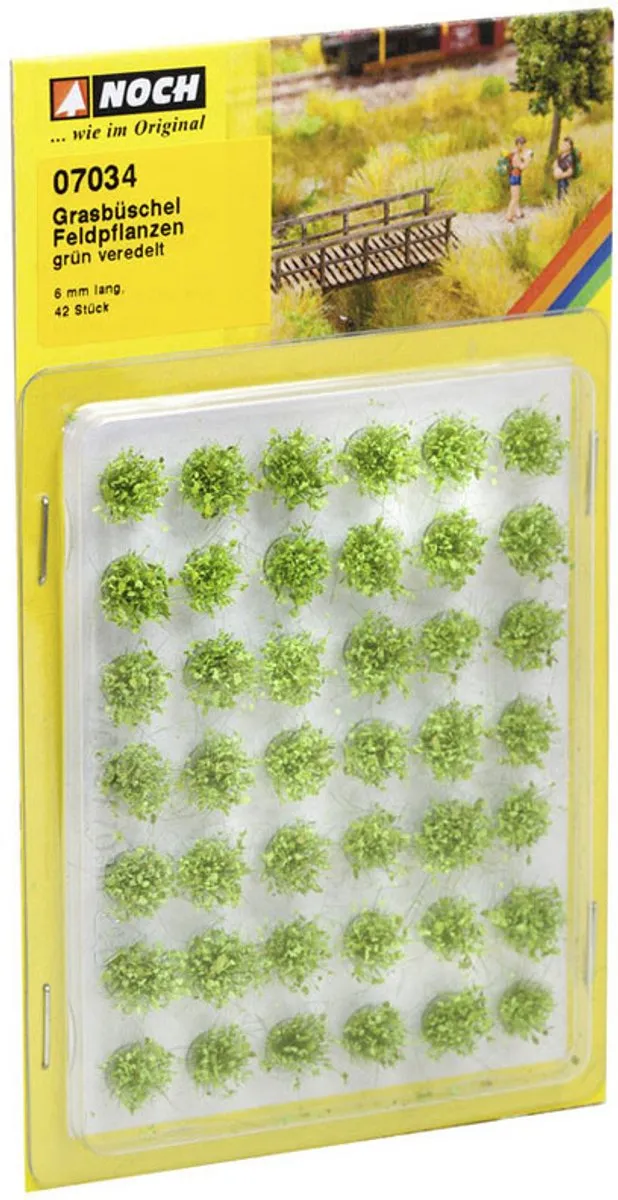 Noch Graspollen Veldplanten Schaal 0