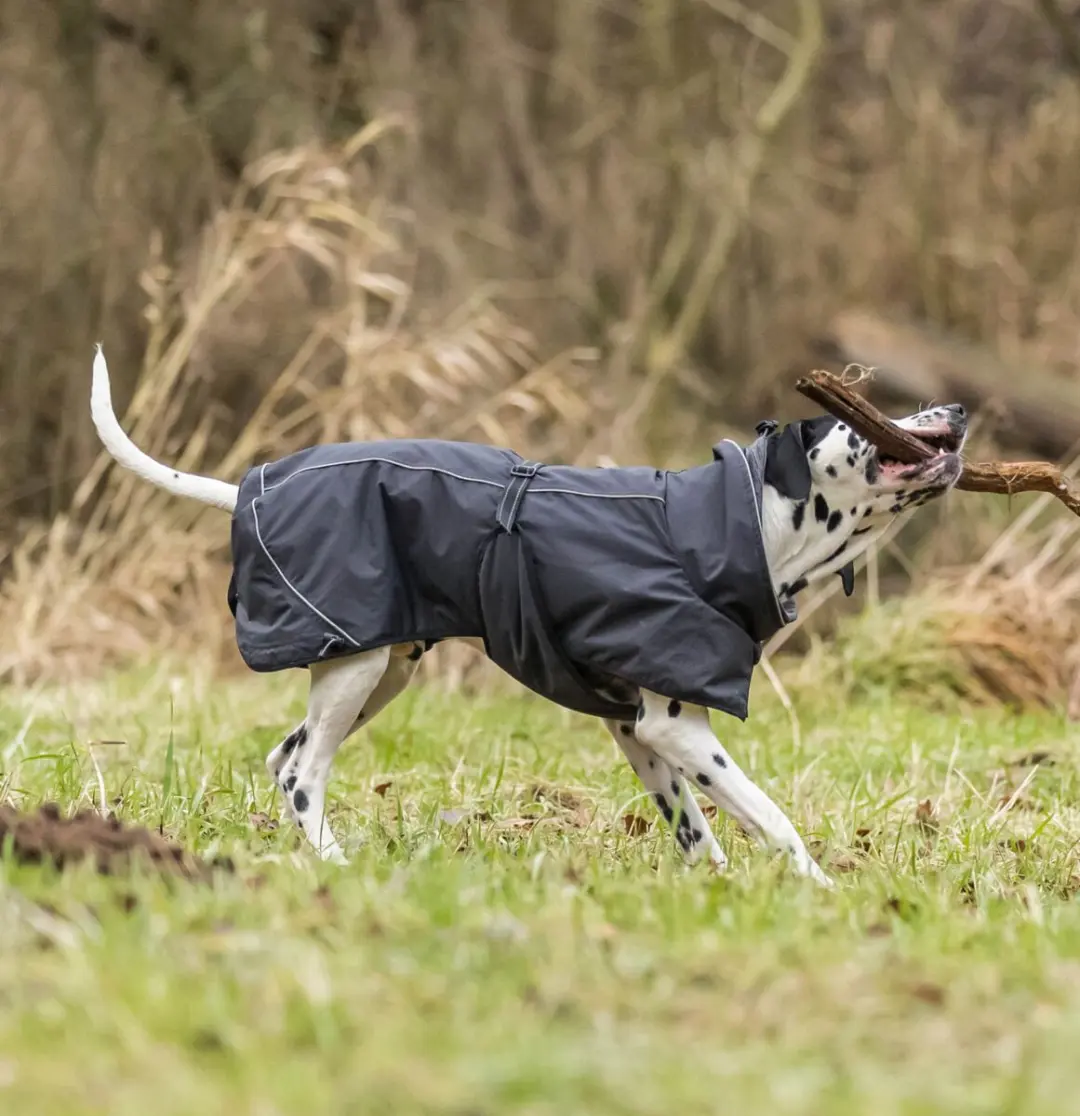 Trixie Calvi Hondenjas - afbeelding 4 van 6