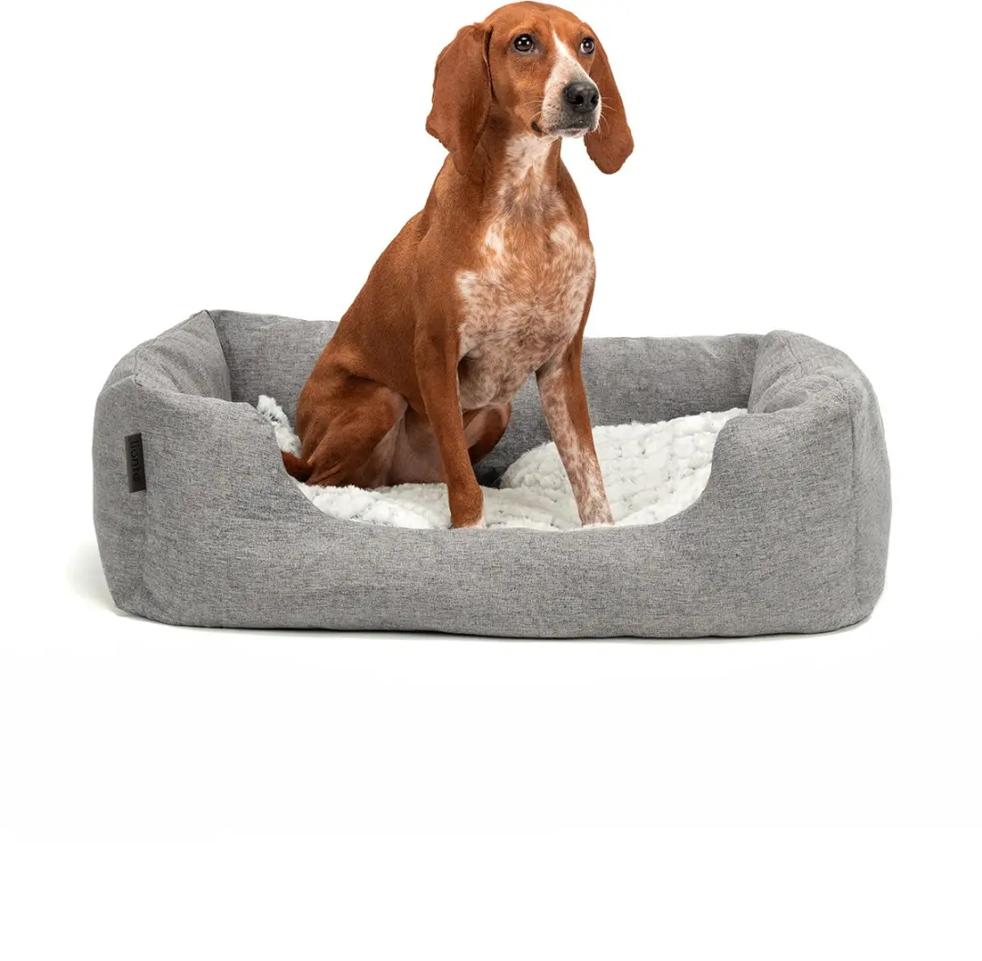 lionto comfort hondenmand, zacht, antislip & onderhoudsvriendelijk, 80x60 cm gri