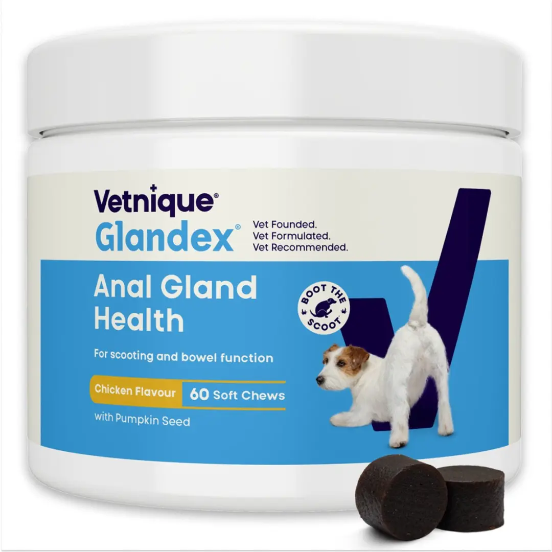 Glandex Hondensnack Soft Chews Kip 60 stuks - 240g - afbeelding 2 van 3