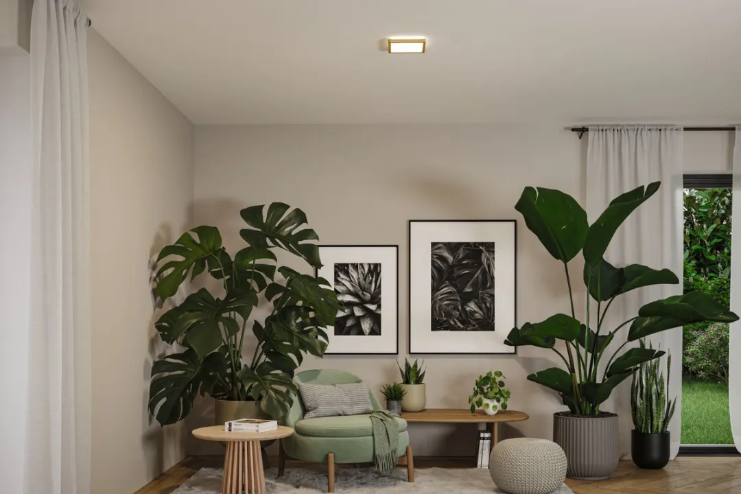 Paulmann Atria Shine LED-paneel 8W 1160lm 3000-6500K Houtlook