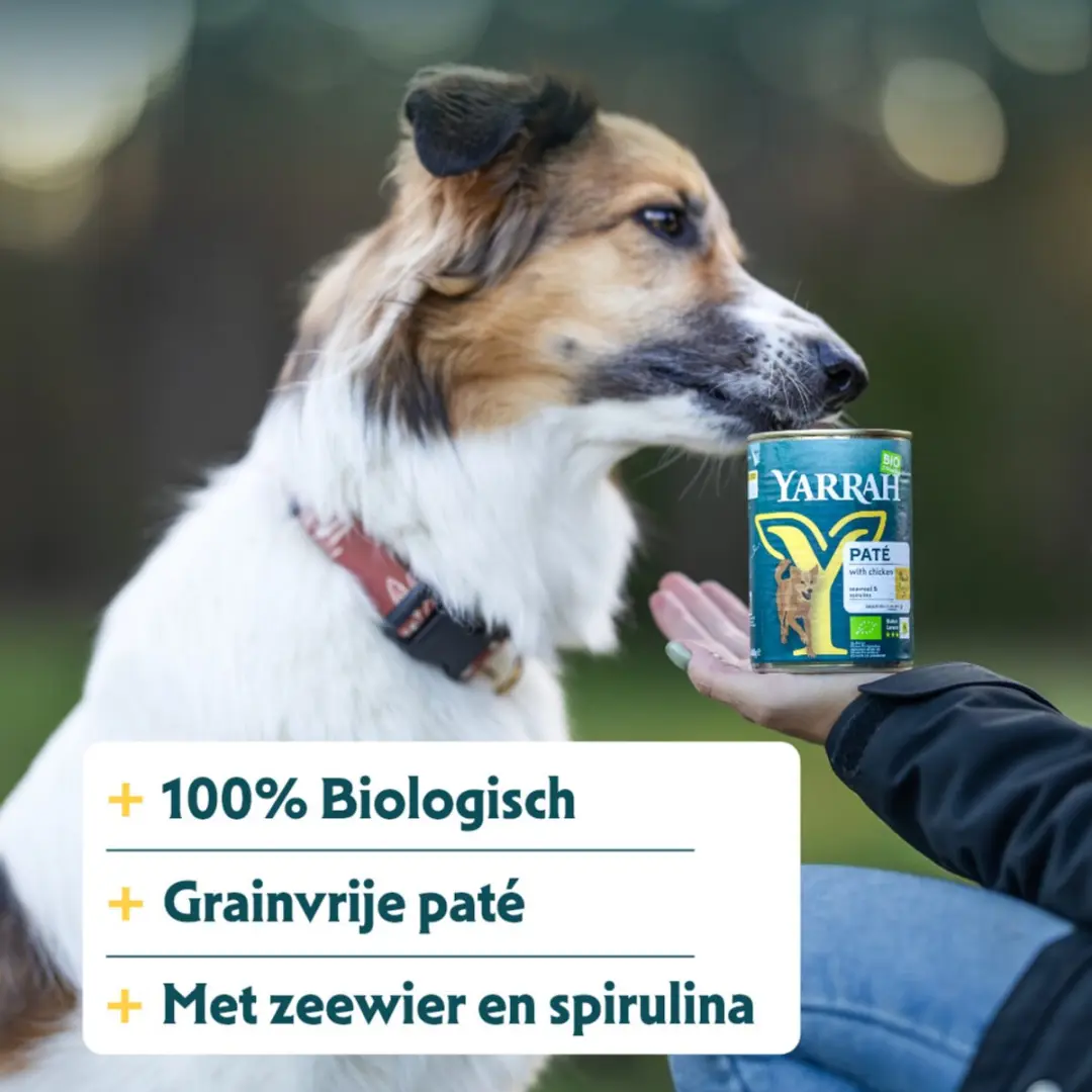 Yarrah Hondenvoer Paté Kip 400g - afbeelding 3 van 6