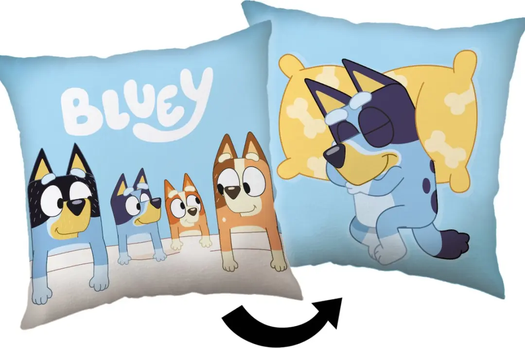 Bluey Sierkussen Goodnight