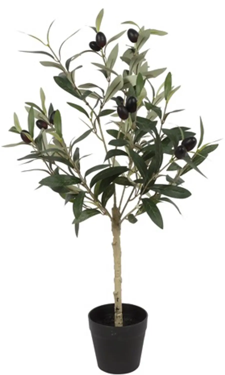 Countryfield Kunst Olijfplant Olea M Paars 65x30x65 cm