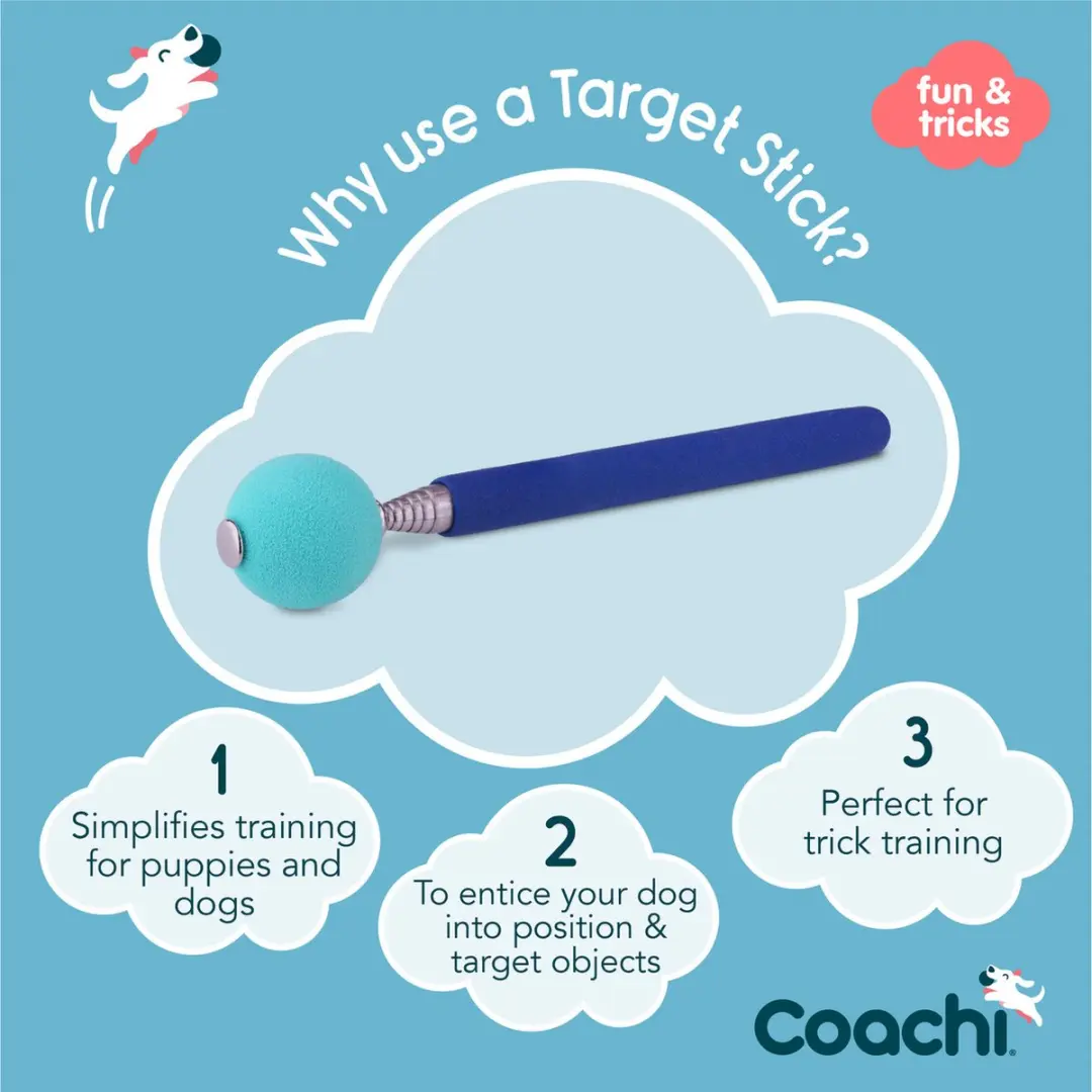 Coachi Target Stick - Hondenopvoeding - afbeelding 2 van 3