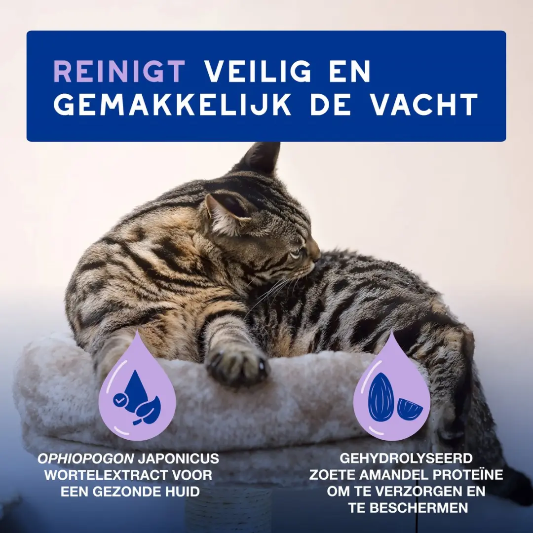 Douxo SPA Mousse Zonder Uitspoelen Kat 150ml - afbeelding 4 van 6