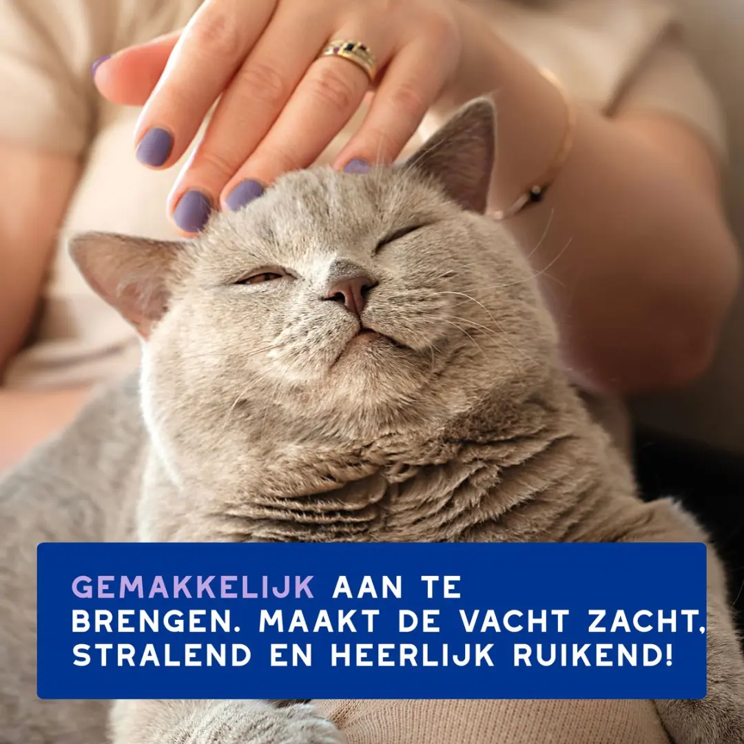 Douxo SPA Mousse Zonder Uitspoelen Kat 150ml - afbeelding 2 van 6