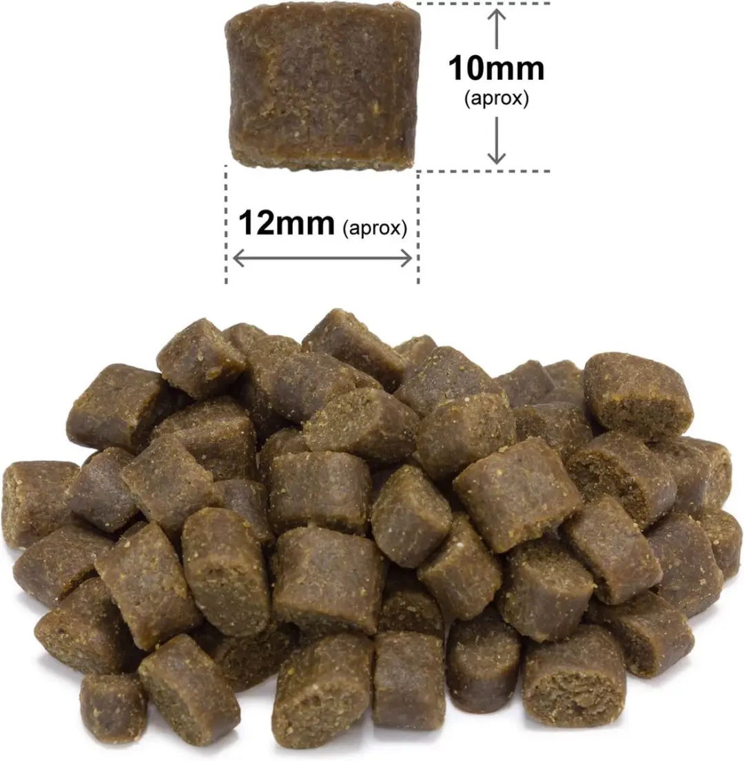 Arquivet Fresh Oceanische Vis Hondenvoer 10kg - afbeelding 2 van 6