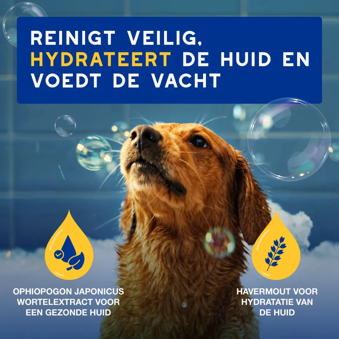 Douxo SPA Hydraterende Hondenshampoo - 250ml - afbeelding 4 van 6