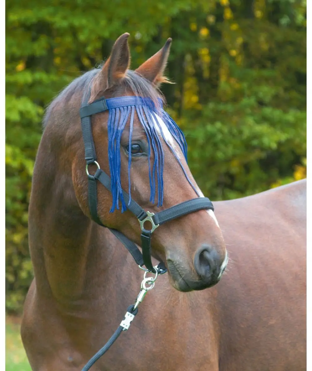 Vliegenfrontriem Paard Nylon Marine Pony