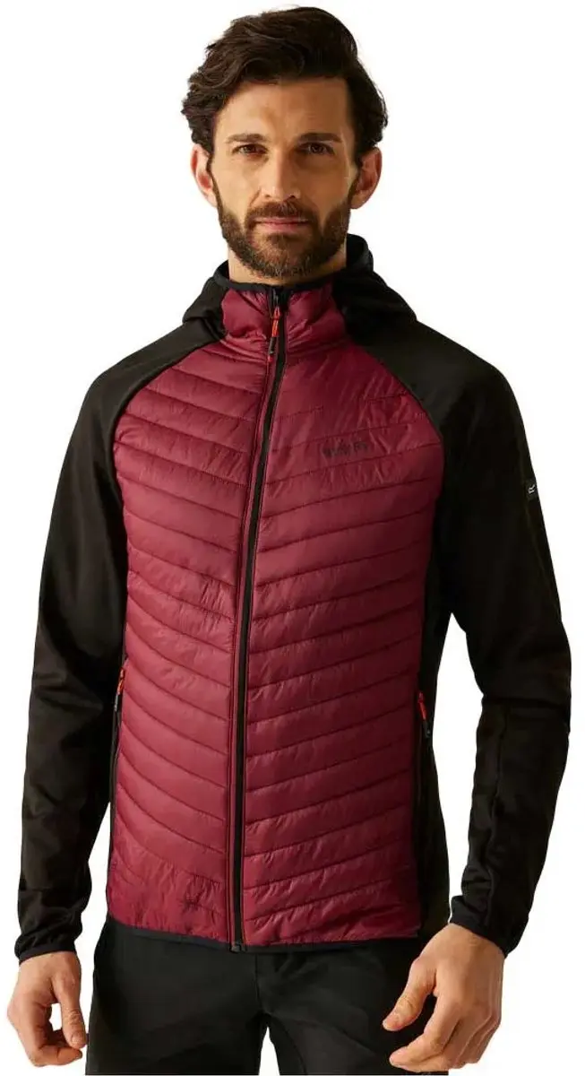 Regatta Andreson Donsjack - L - Dark Maroon/Black - afbeelding 6 van 6
