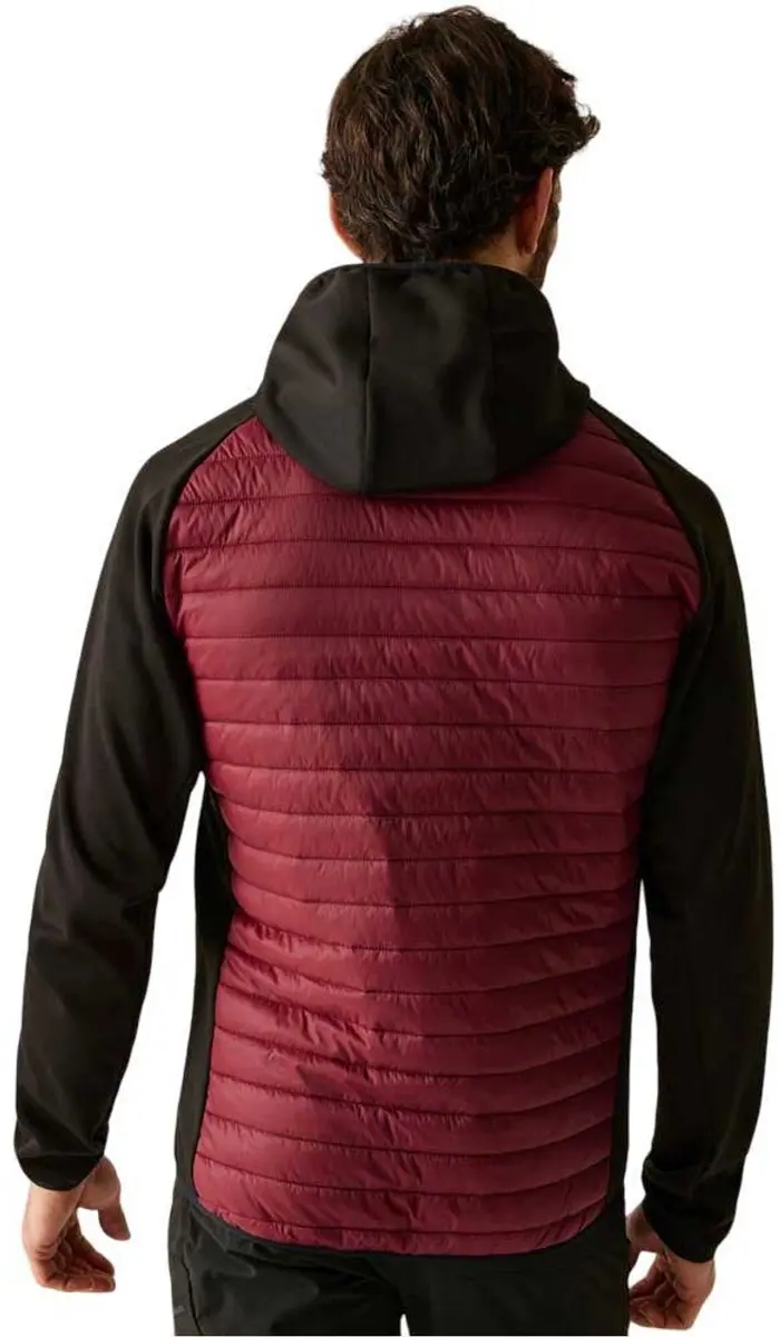 Regatta Andreson Donsjack - L - Dark Maroon/Black - afbeelding 2 van 6
