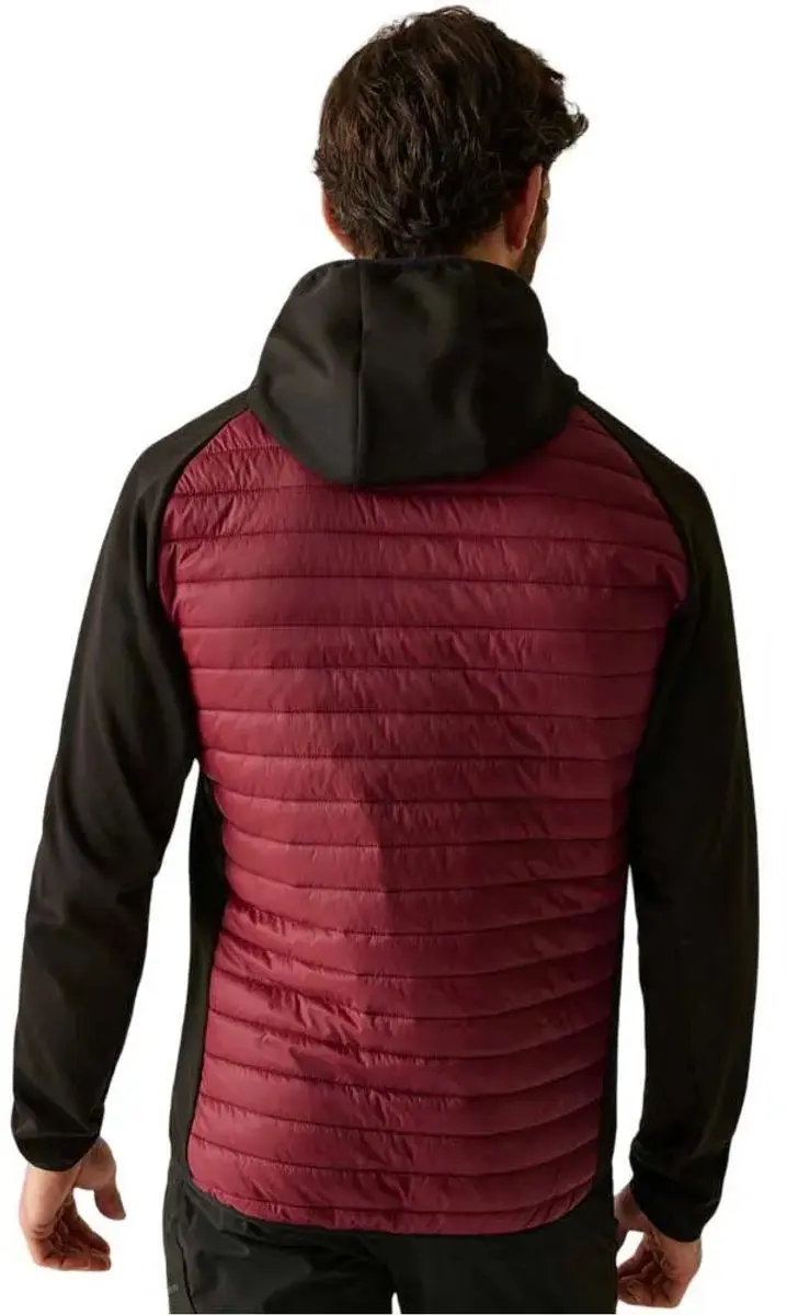 Regatta Andreson Donsjack - L - Dark Maroon/Black - afbeelding 3 van 6