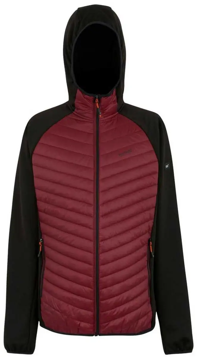 Regatta Andreson Donsjack - L - Dark Maroon/Black - afbeelding 5 van 6