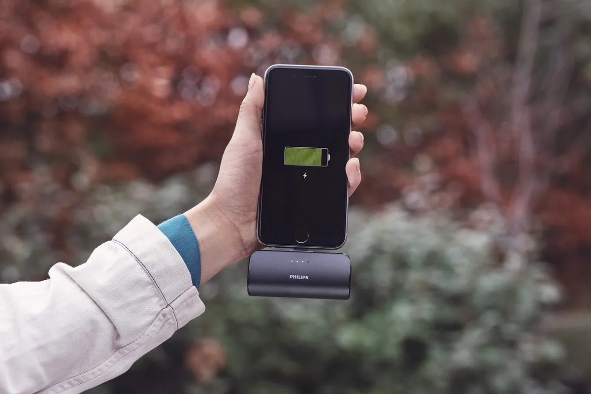 Philips Powerbank DLP2510C/03 - 2500mAh - USB-C - Zwart/Zilver