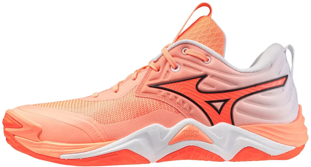 Indoor schoenen Mizuno Wave Momentum Elite