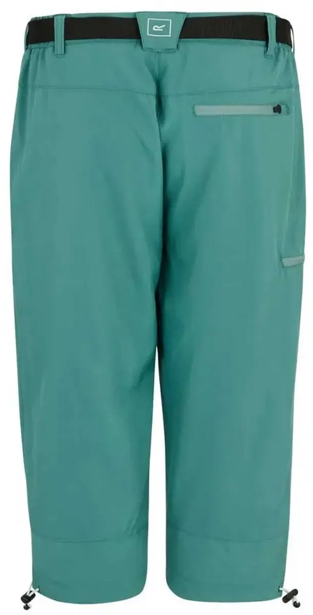 Regatta Xert Stretch Light Korte Broek - Groen - afbeelding 4 van 5