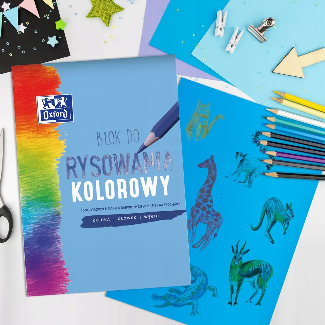Oxford Kleurrijk Papier A4 10 vel 100 g/m²