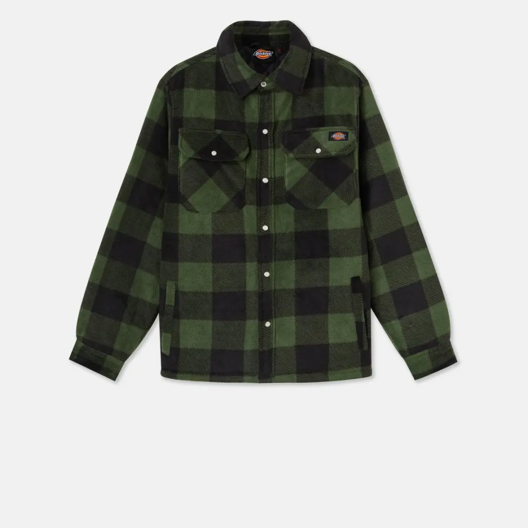 Dickies Portland shirt (EX. DSH5000) DK0A4XTA