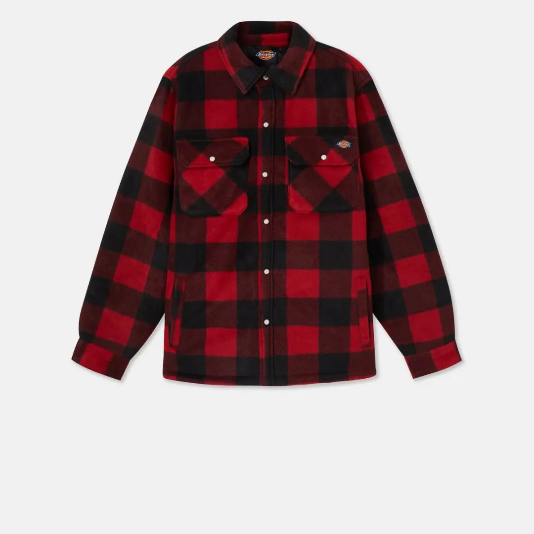 Dickies Portland shirt (EX. DSH5000) DK0A4XTA