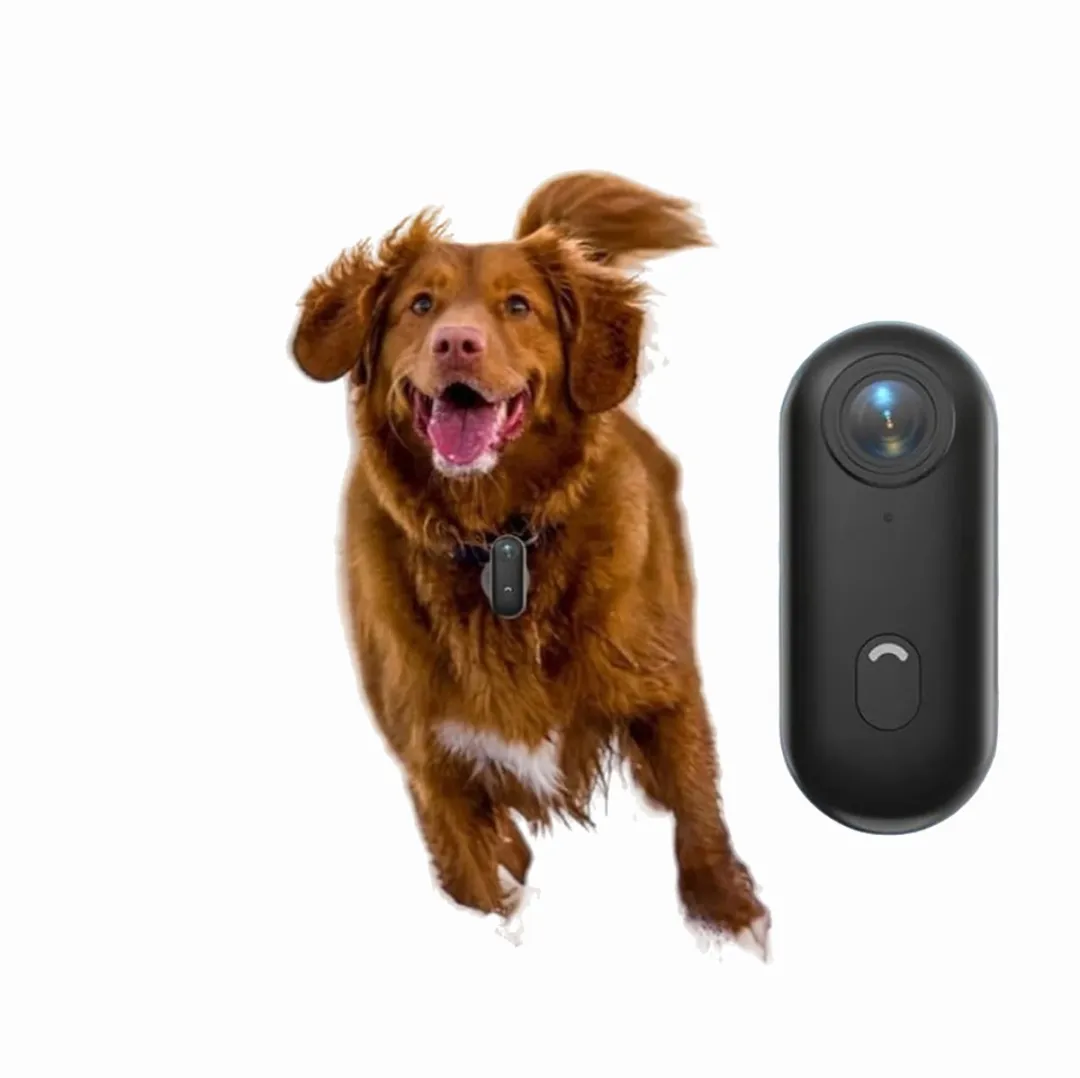 RedParrot NVT HD Huisdiercamera