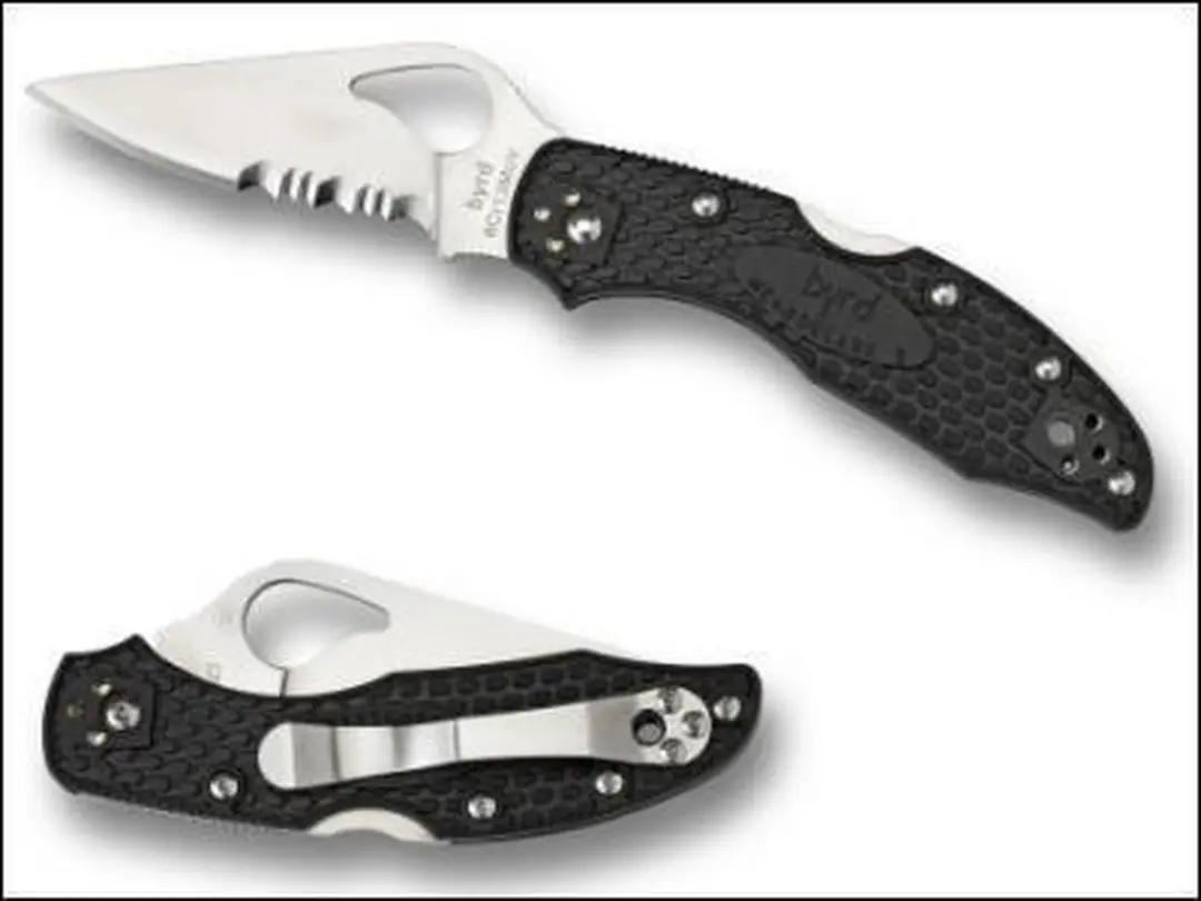Spyderco Zakmes Byrd Meadowlark 2 Silver 8Cr13MoV CE
